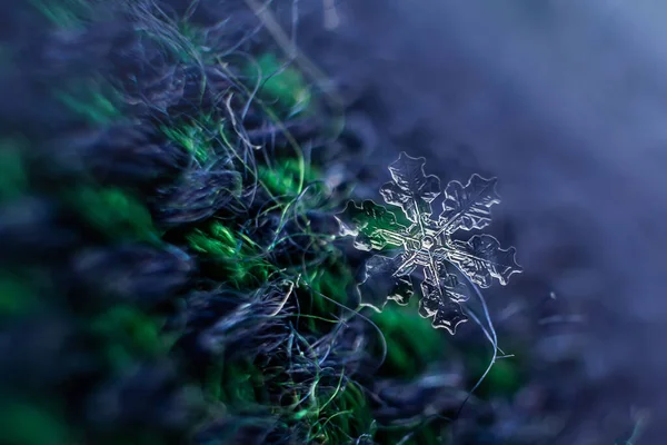 Copos Nieve Cerca Foto Macro Concepto Invierno Frío Belleza Naturaleza —  Fotos de Stock