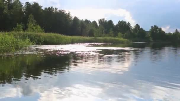 Paisagem Verão Céu Com Nuvens Floresta Horizonte Refletem Água Clara — Vídeo de Stock