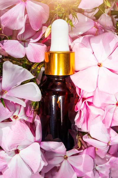Natural rose essential oil in a glass bottle against a background of pink flowers. The concept of organic essences, natural cosmetic and health products. Modern apothecary.