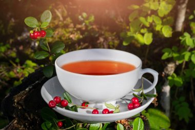 Taze bitkisel çaylı beyaz bir fincan ormandaki bir ağaç kütüğünün üzerinde duruyor. Lingonberry 'ler çay tabağında. Doğal organik içecek konsepti.