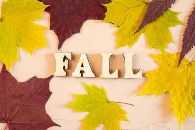 AUTUMN 'un açık arkaplandaki ahşap harflerle yazılıydı. Sonbahar bordo ve sarı yapraklar. Yukarıdan görüntüle.