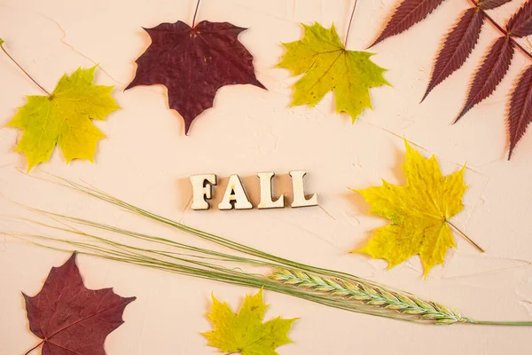 Inscriptie Valt Houten Letters Een Lichte Achtergrond Rond Herfst Bordeaux — Stockfoto