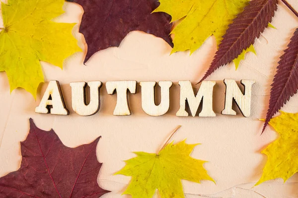Επιγραφή Autumn Ξύλινα Γράμματα Ελαφρύ Φόντο Γύρω Φθινοπωρινά Βυσσινί Και — Φωτογραφία Αρχείου