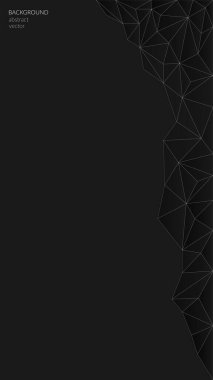 Vektör soyut çokgen koyu arkaplan. Bkack geometrik şekilleri. Düşük polimerli. Merkezden aydınlıktan karanlığa geçiş. Banner, web tasarımı. Kopyalama alanı.