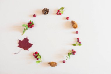 Sonbahar düzlüğü: kırmızı ve sarı yapraklar, kırmızı böğürtlenler, pastel renksiz arka planda koniler. Üst görünüm, alanı kopyala.