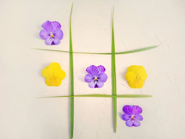 Çiçeklerin Tik Tak Parmağı Çim Yaprakları Yaratıcı Bir Tatil Konsepti — Stok fotoğraf