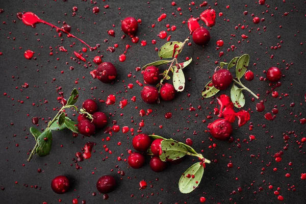 Lingonberry Gałązki Ciemny Tło Jasny Piękny Plamy Czerwony Bordowy Farba — Zdjęcie stockowe