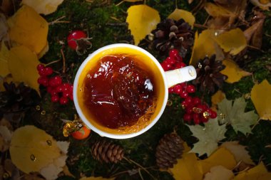 Bir fincan taze çay sonbahar yaprakları, koniler, böğürtlenler, gül kalçaları arasındadır. Fincanda muhteşem bir sıçrama. Doğal içecekler, yürüyüş, kamp, sonbahar sezonu. Yukarıdan görüntüle.