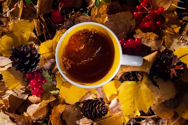 A cup of fresh hot tea is among the autumn leaves, cones, berries, rose hips. Spectacular splash in the cup. Concept for natural drinks, hiking, camping, autumn season. View from above.