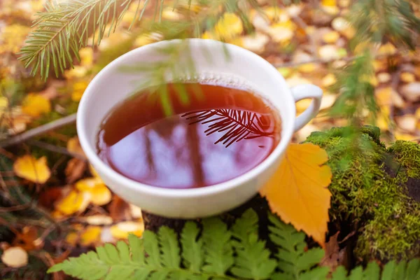 秋の紅葉の中には新鮮なお茶が入っています 自然の飲み物 ハイキング キャンプ 秋の季節のコンセプト 上からの眺め — ストック写真