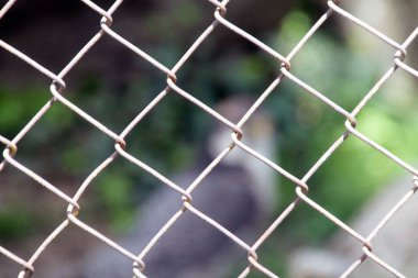 çit, çit, sınırlandırmak, kapalı, mahkum, ayrılık, Tel, değil pass,; 