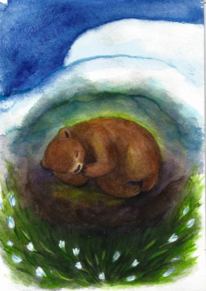 Bear sleeps in a den on snowdrops, illustration — Stock Photo, Image