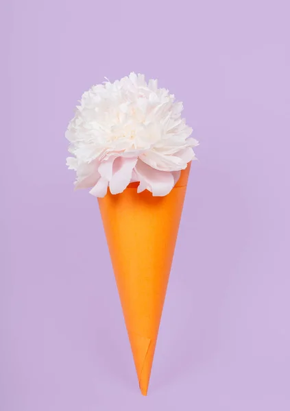 Peony flower in orange cone