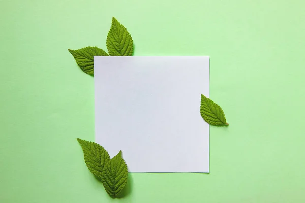 The creative background of green leaves. Minimal spring concept. Flat ley