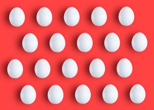 Egg. White chicken egg on red background.