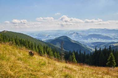 Güzel dağ manzarası. Karpat Dağları