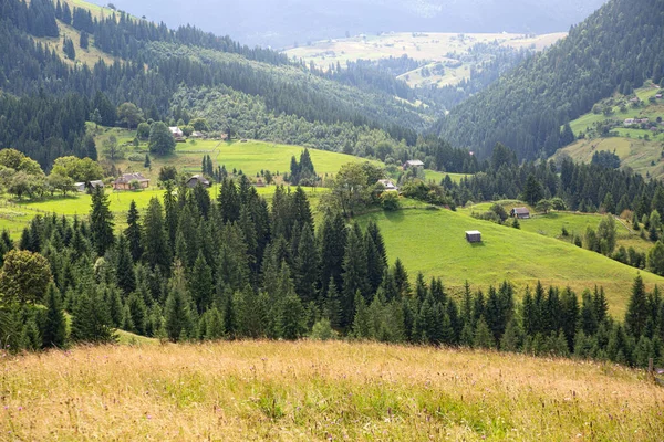 Bellissimo paesaggio Montagne carpatiche — Foto Stock