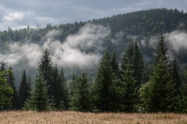 Nebbia sulla foresta tra le montagne. Formazione di nuvole — Foto Stock