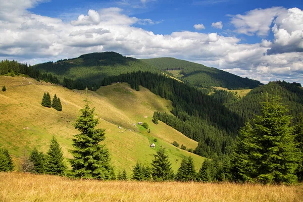 Bellissimo paesaggio montano. Montagne carpatiche — Foto Stock