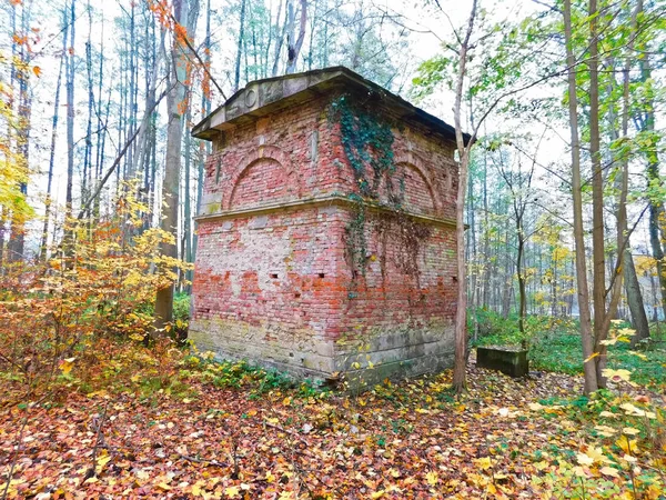 Rovina Dal Tempio Del Serpente — Foto Stock