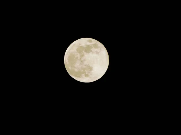 2019年2月19日的满月 — 图库照片