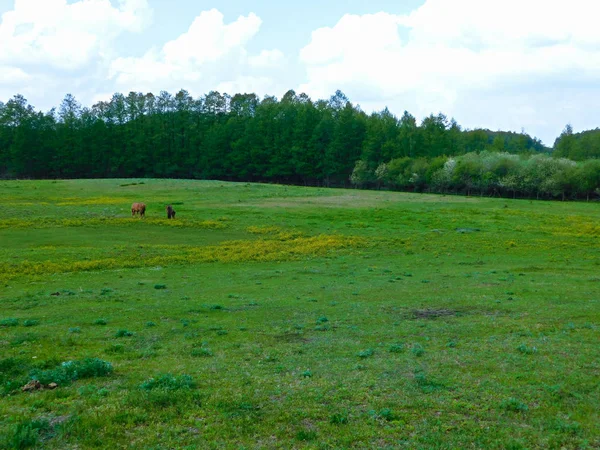 Vakantie Prachtige Uckermark — Stockfoto