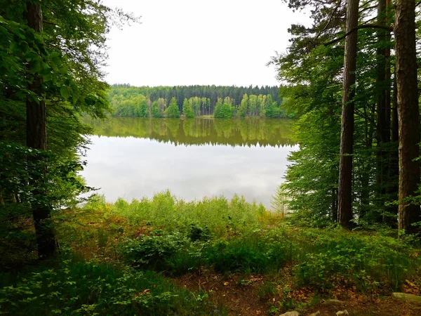 Die Atemberaubende Naturlandschaft Boitzenburger Land — Stockfoto