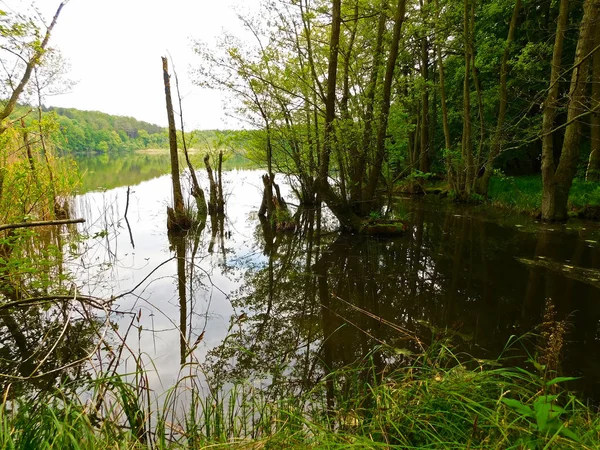 Breathtaking Natural Landscape Boitzenburger Land — Stock Photo, Image