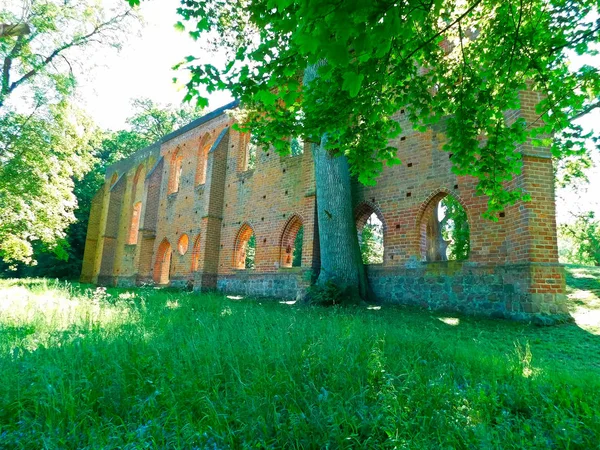 Ruin Ett Cistercienserkloster Förstört Trettioåriga Kriget — Stockfoto