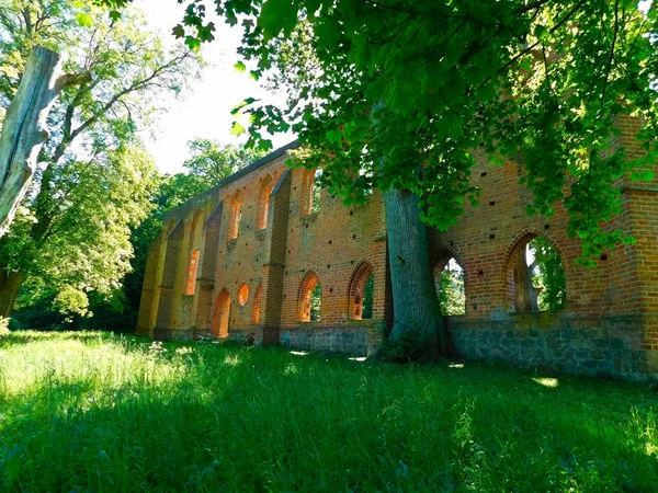 Ruin Ett Cistercienserkloster Förstört Trettioåriga Kriget — Stockfoto