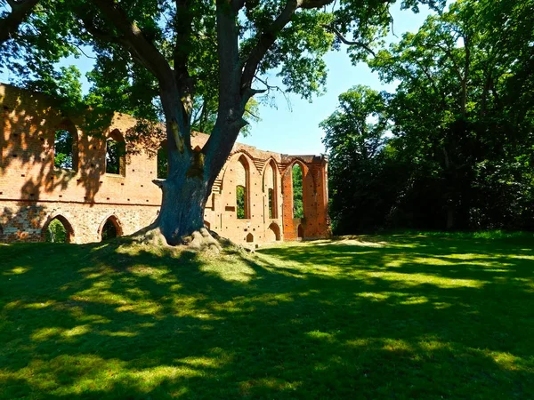 Ruine Monastère Cistercien Détruit Pendant Guerre Trente Ans — Photo