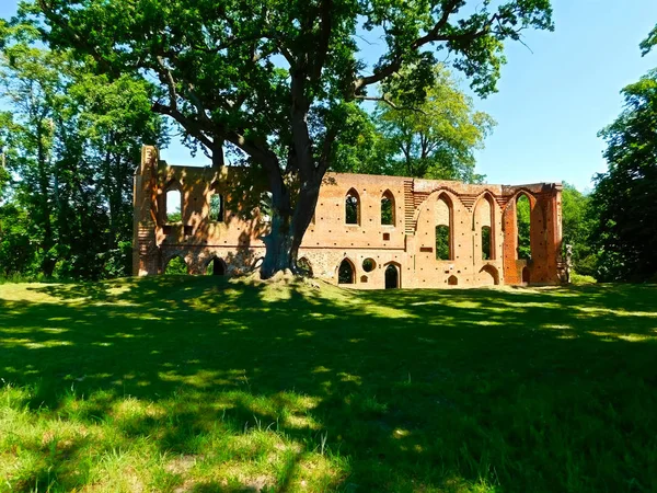 Ruine Monastère Cistercien Détruit Pendant Guerre Trente Ans — Photo