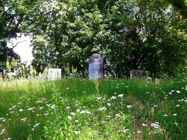 Mezar Taşıma Bir Yahudi Mezarlığı — Stok fotoğraf