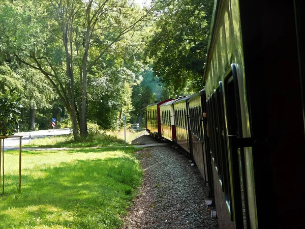 乘坐具有历史意义的蒸汽机车的火车 — 图库照片