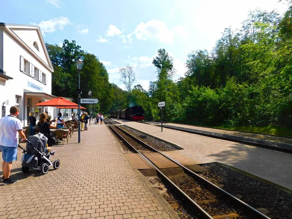 Heligendamm Mecklenburg Vorpommern Germany August 2019 Waiting Train Heiligendamm — 图库照片