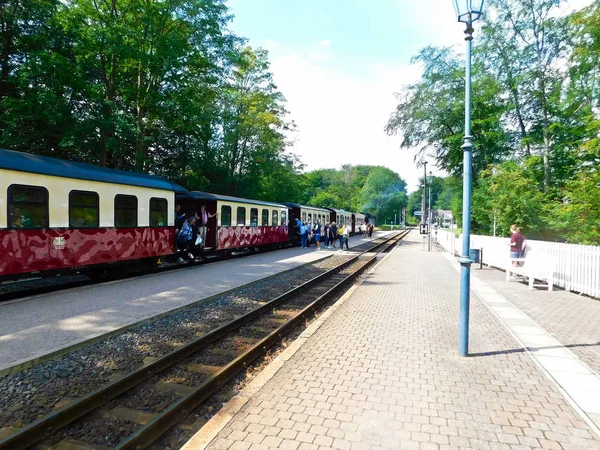Heiligendamm Mecklenburg Vorpommern Deutschland August 2019 Der Einfahrende Zug Zum — Stockfoto