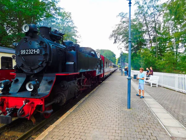 ハイリゲンダム メクレンブルク フォアポンメルン ドイツ 2019年8月8日 ハイリゲンダムの歴史的駅で蒸気機関車に入る — ストック写真