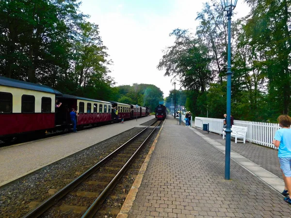 Heligendamm Mecklenburg Vorpommern Germany August 2019 Incoming Train Historic Station — 图库照片