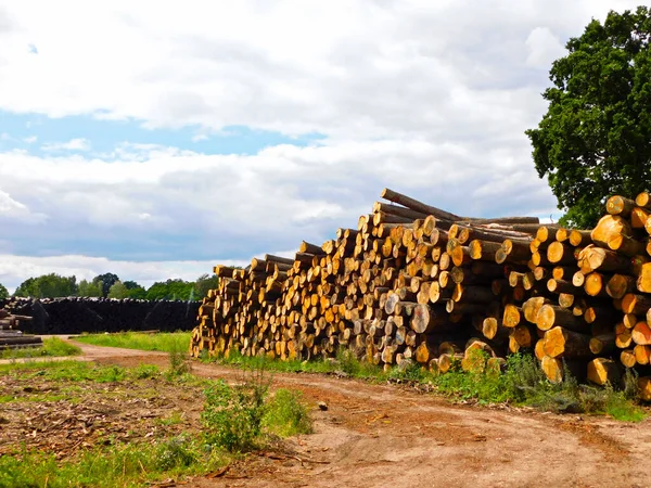 Connecte Dans Bac Stockage — Photo