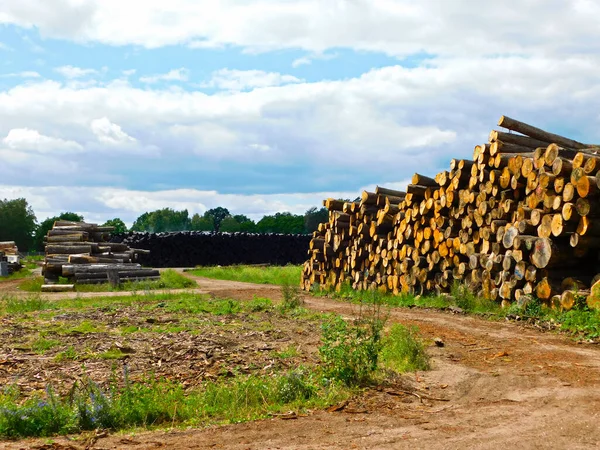 Connecte Dans Bac Stockage — Photo