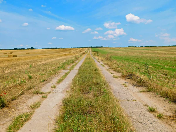 Getreideanbau Der Uckermark — Stockfoto