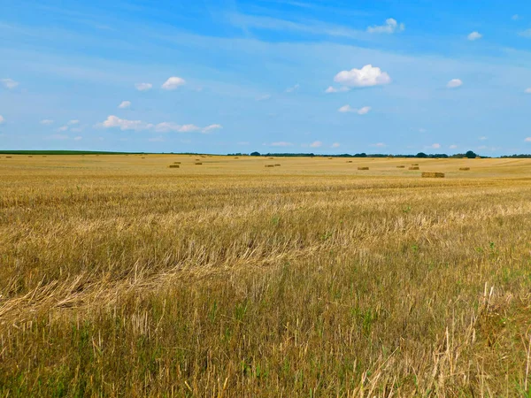 Gabonatermesztés Uckermarkban — Stock Fotó