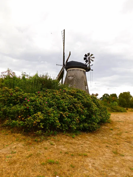 Den Holländska Kvarnen Kvarnberget — Stockfoto