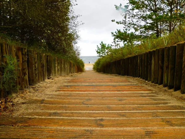 Baltık Denizi Kıyısındaki Sahile Giden Yol — Stok fotoğraf