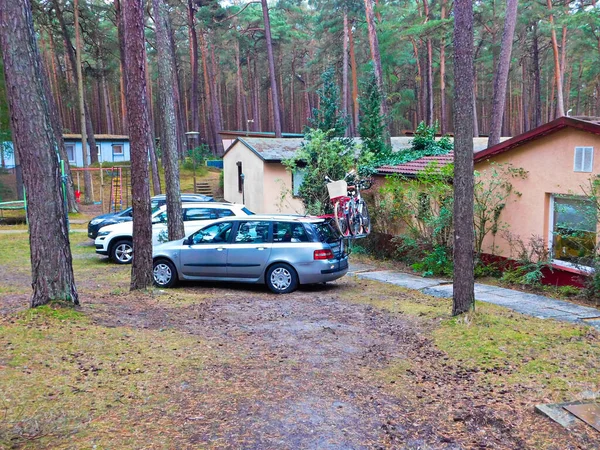Assentamento Cottage Floresta Mar Báltico — Fotografia de Stock