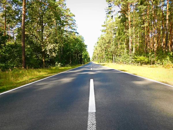 Asphalt Road Woods Uckermark — Stock Photo, Image