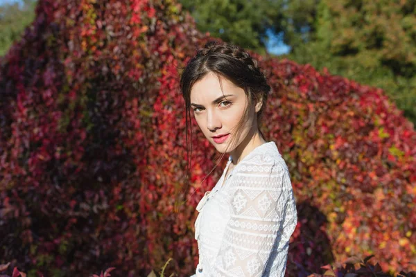 Belle Brune Avec Des Tresses Autour Tête Dans Élégant Chemisier — Photo