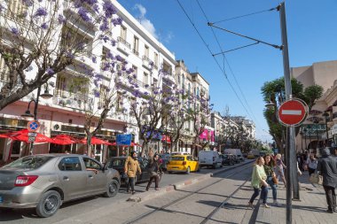 Tunis, Tunus - 19 Mayıs 2017: İşlek cadde bloomin jacarand ile