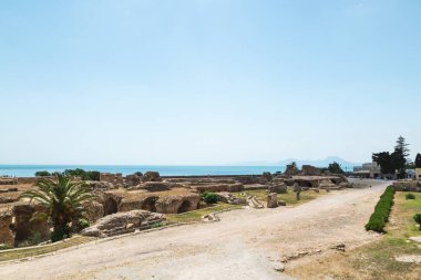 Antoninus Hamamı harabeleri. Kartaca, Tunus.