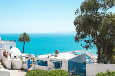 Sidi Bou dedi ki, Tunus